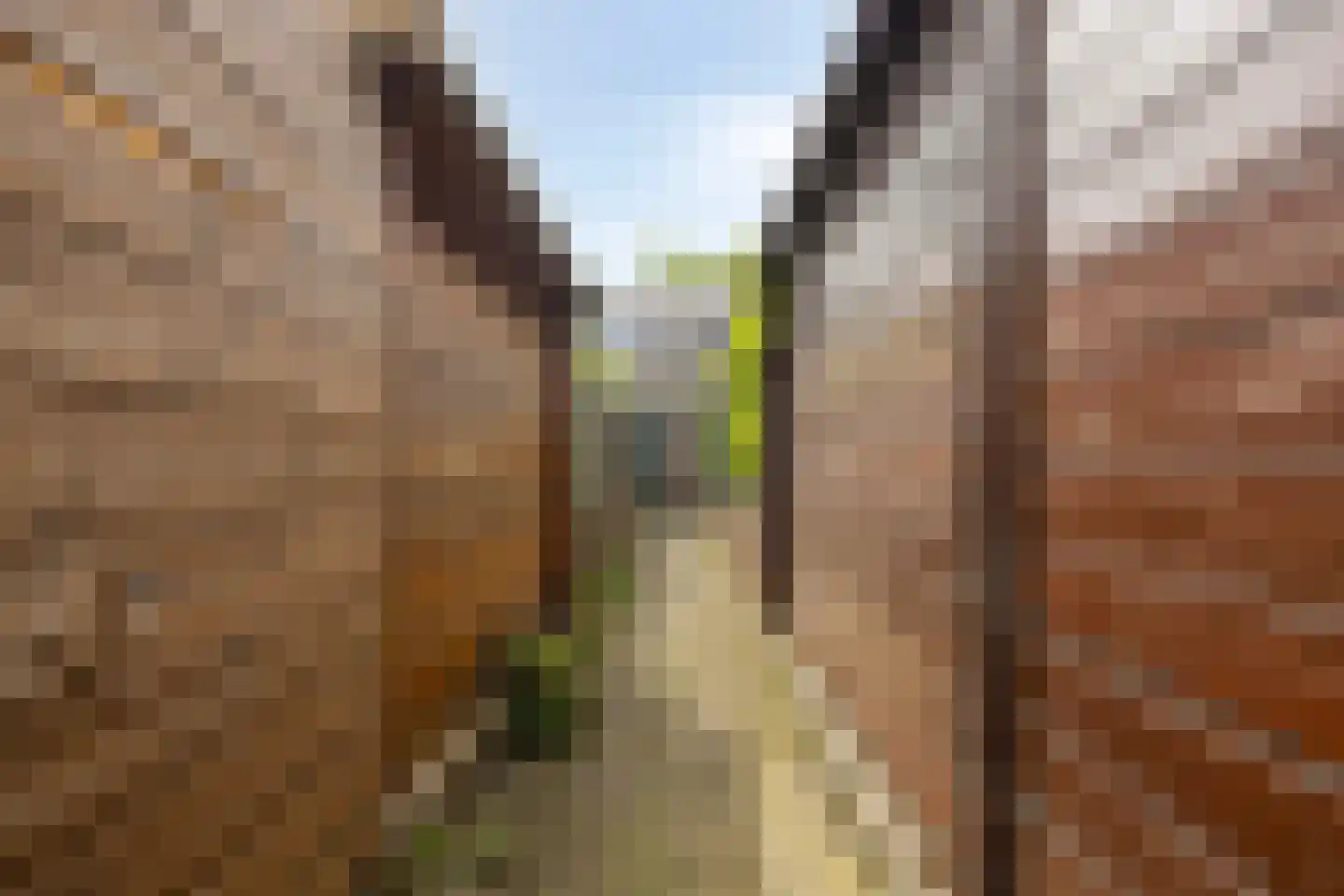 Loosduinsekade 575 Den Haag thumbnail 36