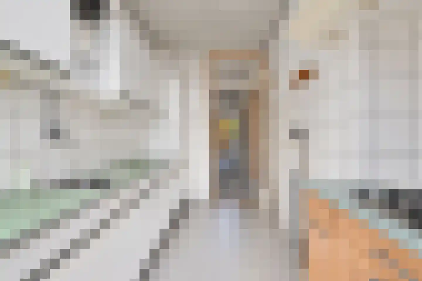 Loosduinsekade 583 Den Haag thumbnail 22