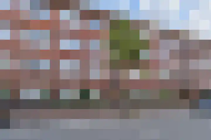 Loosduinsekade 584 Den Haag
