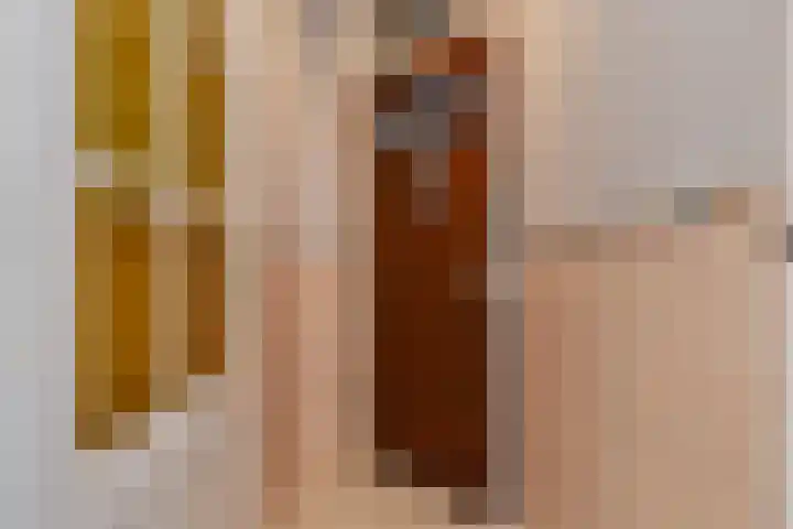 Loosduinsekade 584 Den Haag thumbnail 29