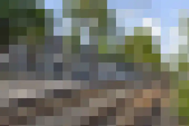 Loosduinsekade 584 Den Haag thumbnail 37