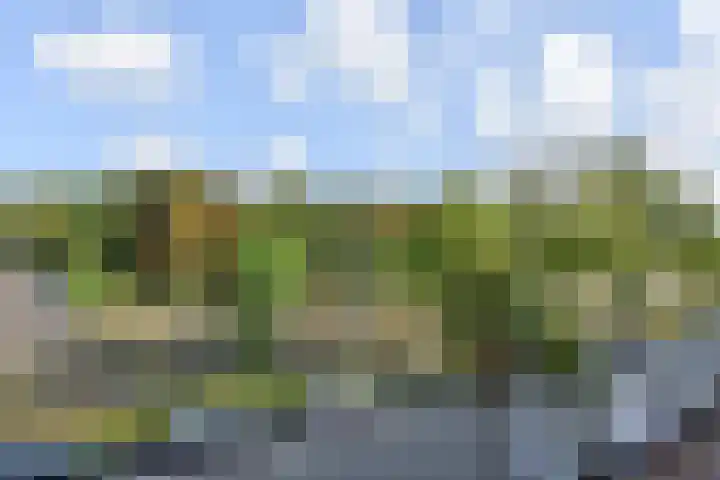 Loosduinsekade 584 Den Haag thumbnail 5