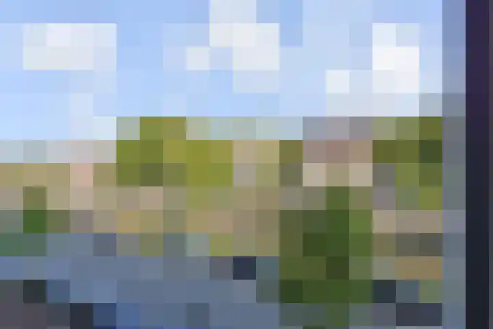 Loosduinsekade 584 Den Haag thumbnail 6