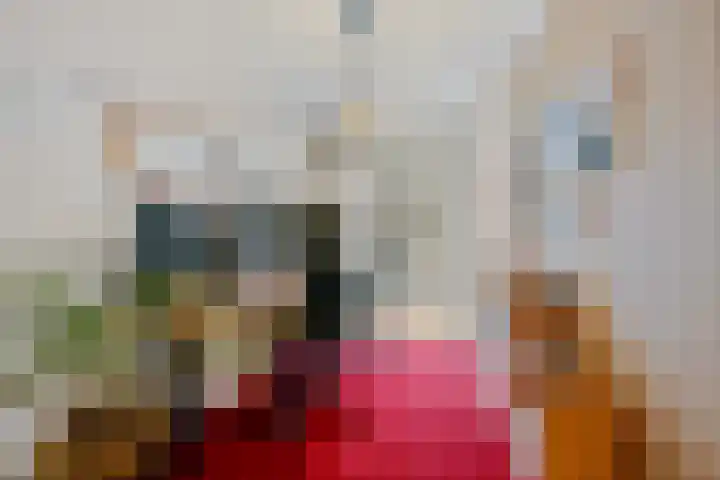 Loosduinsekade 598 Den Haag thumbnail 5