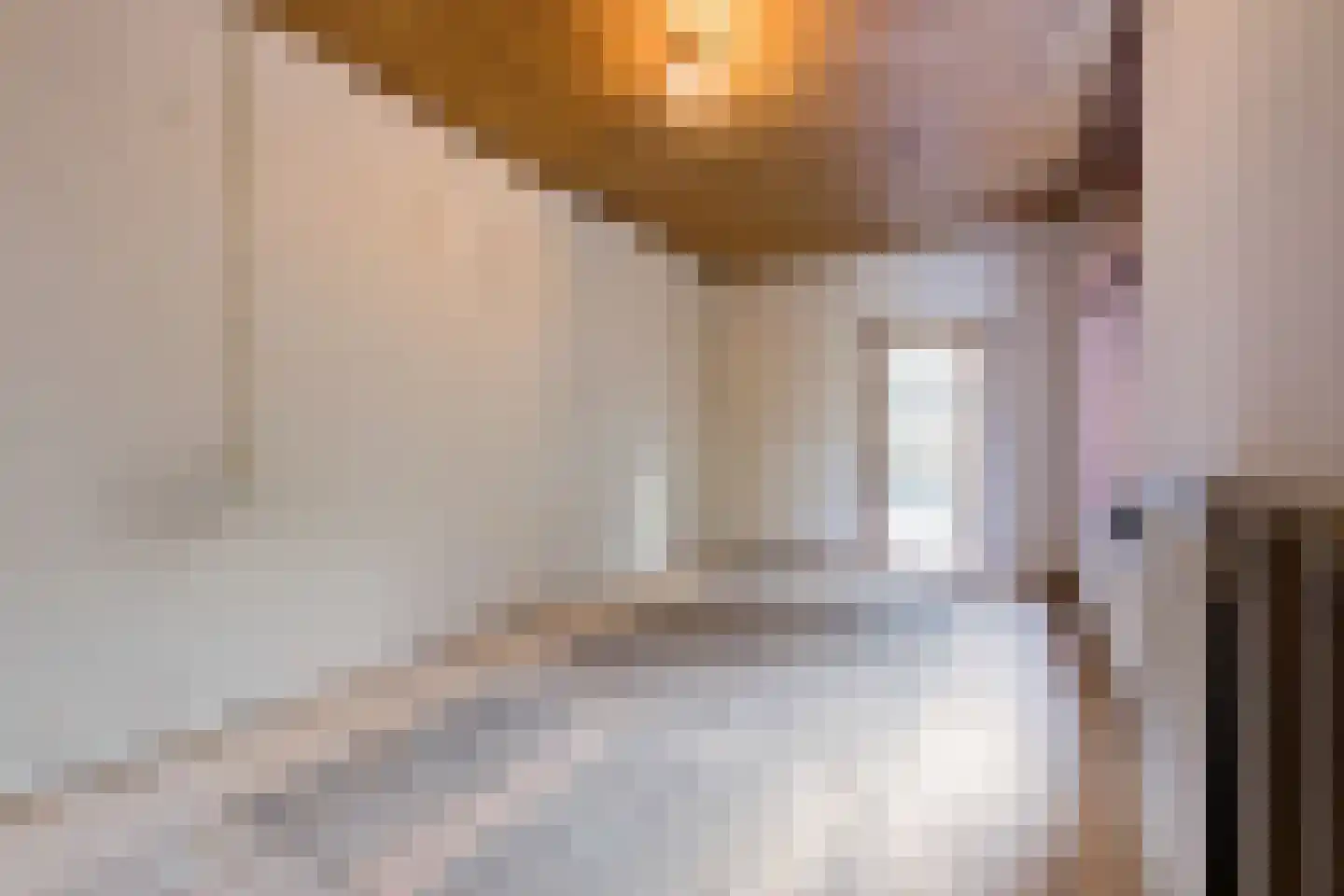 Loosduinsekade 62 Den Haag thumbnail 11