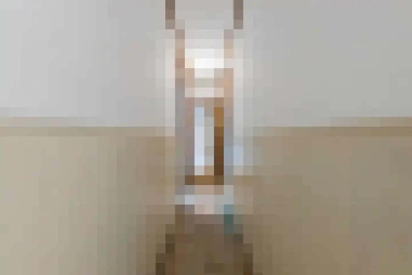 Loosduinsekade 62 Den Haag thumbnail 15