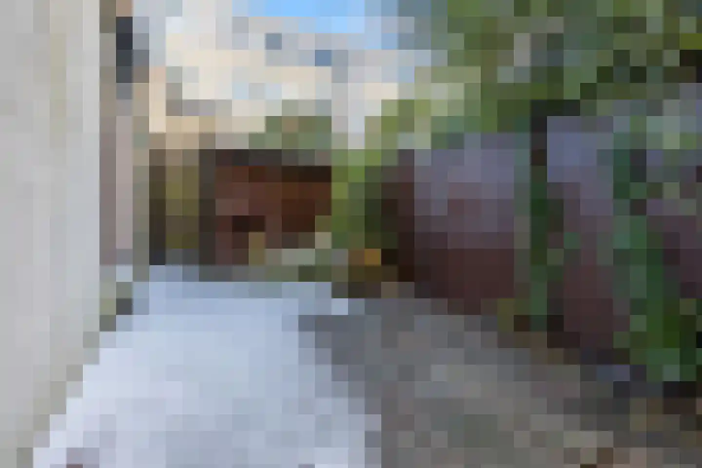 Loosduinsekade 62 Den Haag thumbnail 29