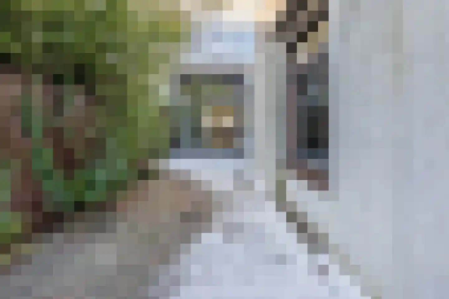 Loosduinsekade 62 Den Haag thumbnail 31