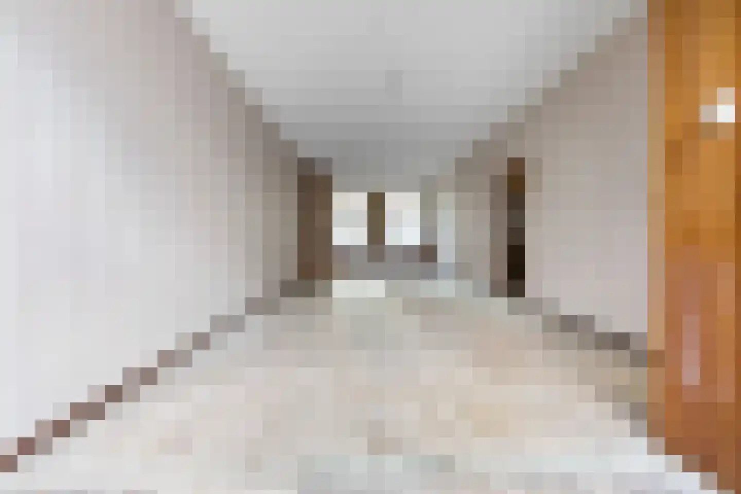 Loosduinsekade 62 Den Haag thumbnail 35