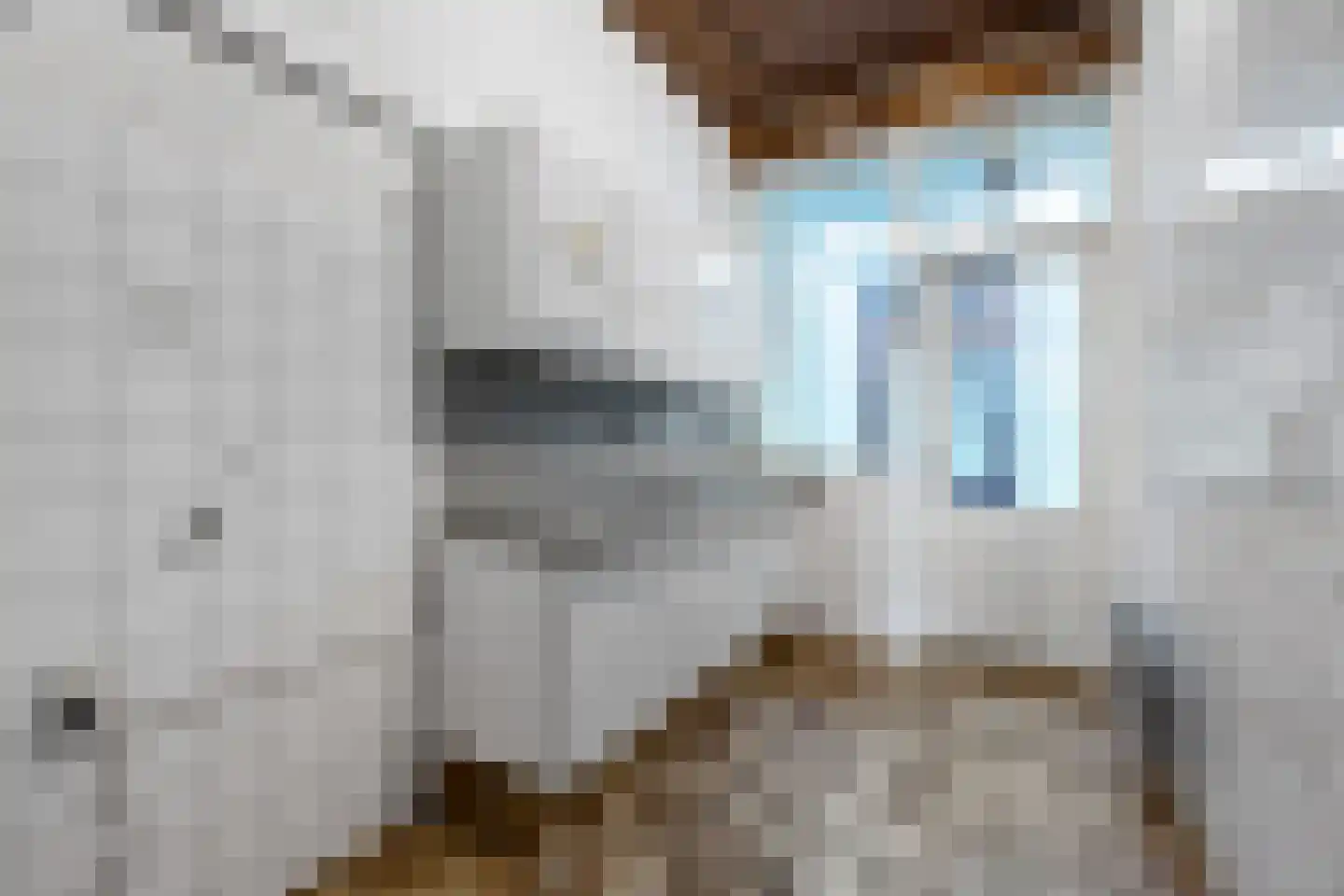Loosduinsekade 62 Den Haag thumbnail 42
