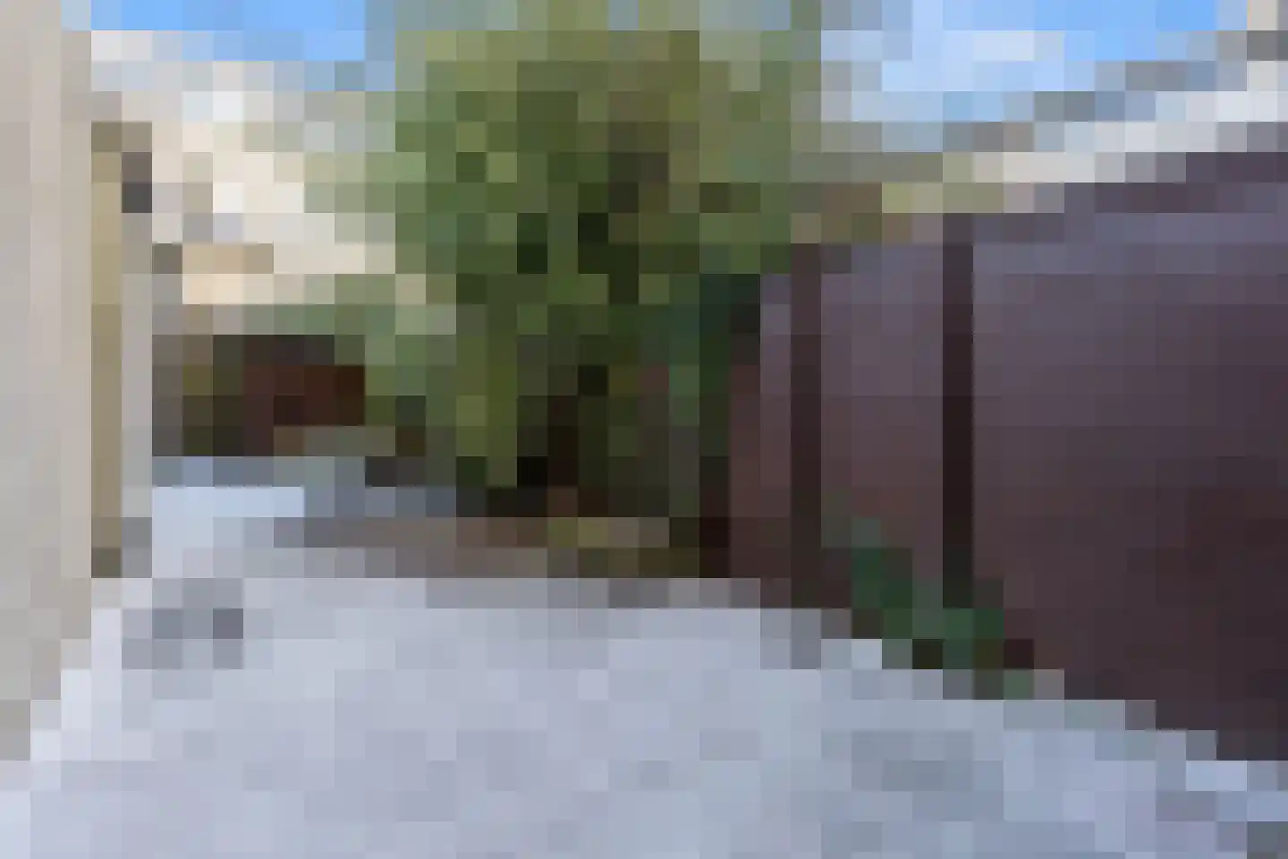 Loosduinsekade 62 Den Haag thumbnail 5