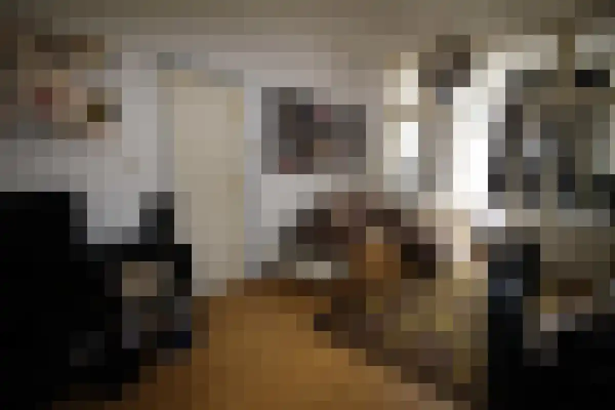 Loosduinsekade 71 Den Haag thumbnail 6