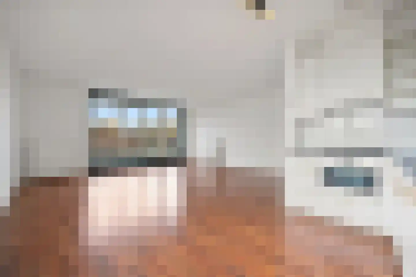 Loosduinseweg 247 Den Haag thumbnail 6
