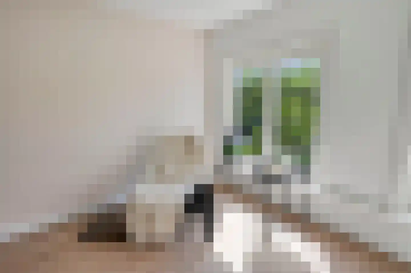 Loosduinseweg 619 P Den Haag thumbnail 6