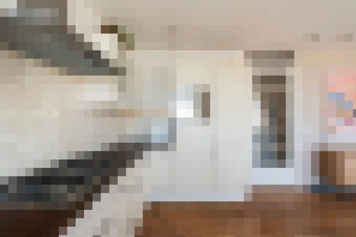 Loosduinseweg 669 Den Haag thumbnail 12