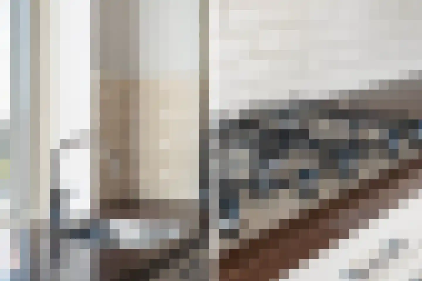 Loosduinseweg 669 Den Haag thumbnail 13