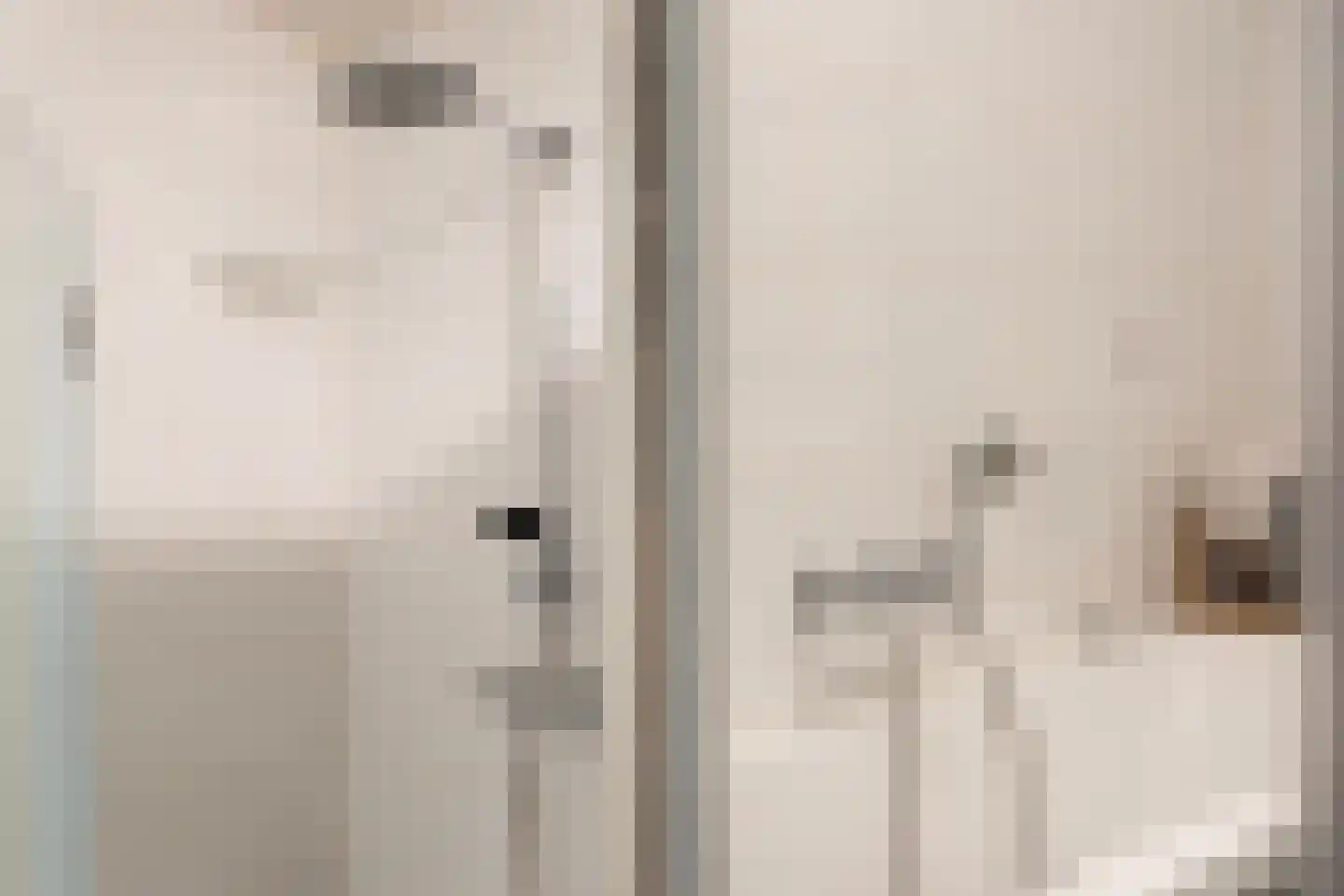 Loosduinseweg 669 Den Haag thumbnail 23