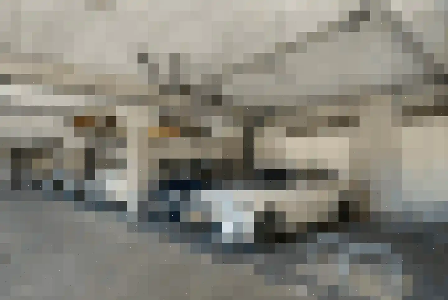 Loosduinseweg 669 Den Haag thumbnail 35