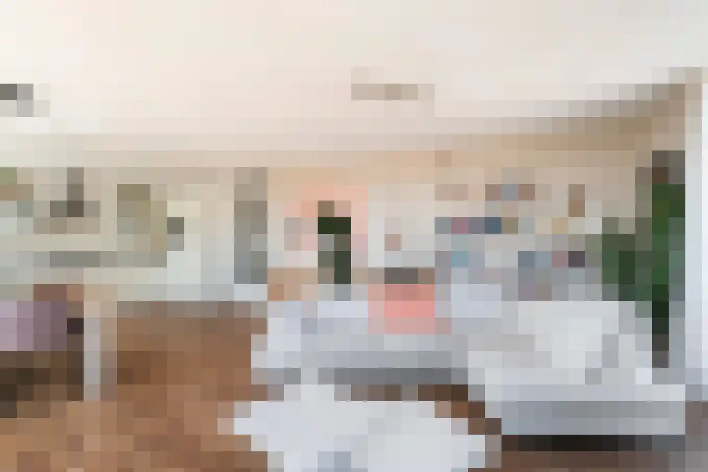Loosduinseweg 669 Den Haag thumbnail 7