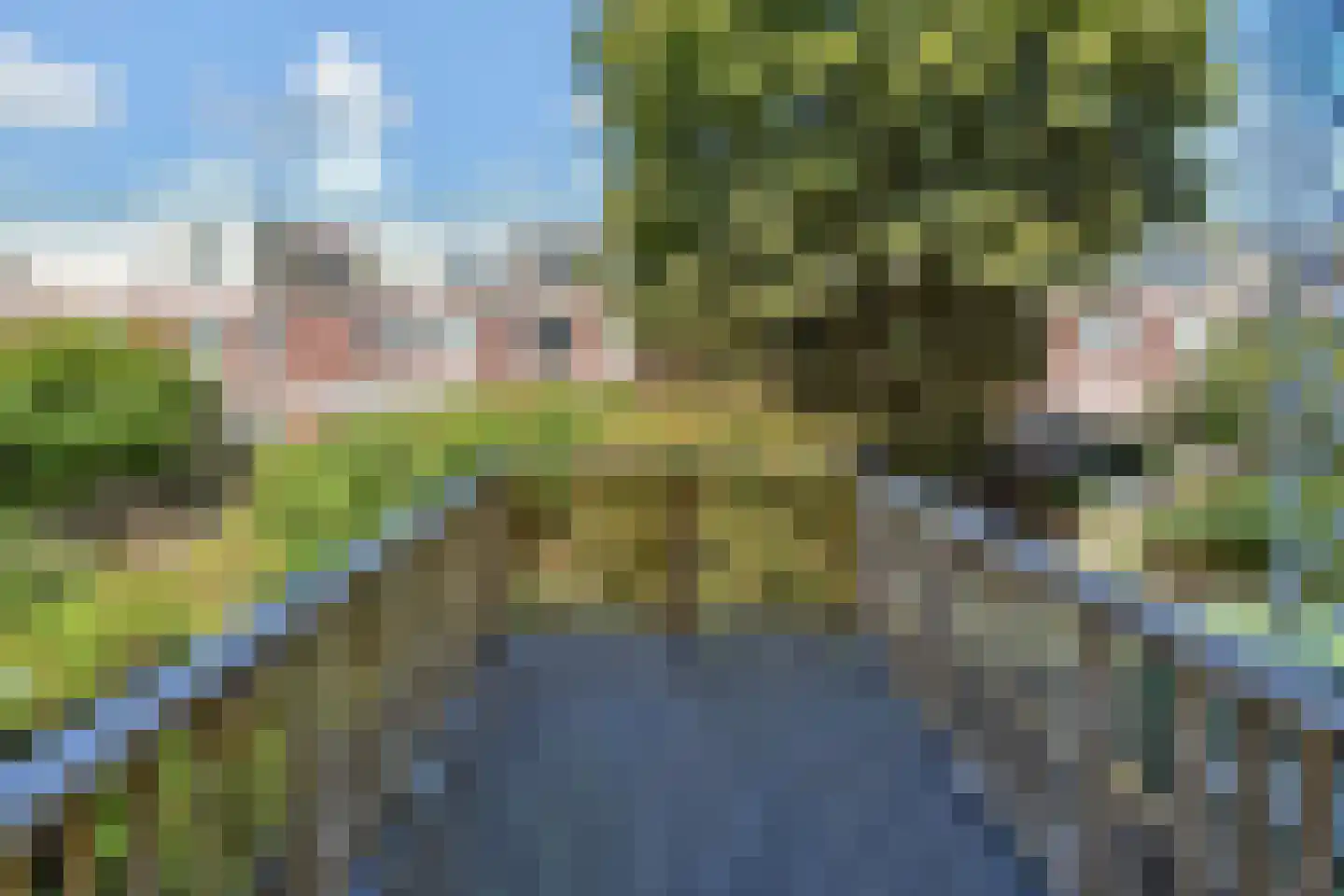 Loosduinseweg 727 Den Haag thumbnail 15
