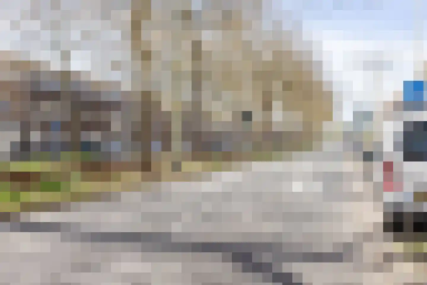 Loosduinseweg 771 Den Haag thumbnail 35
