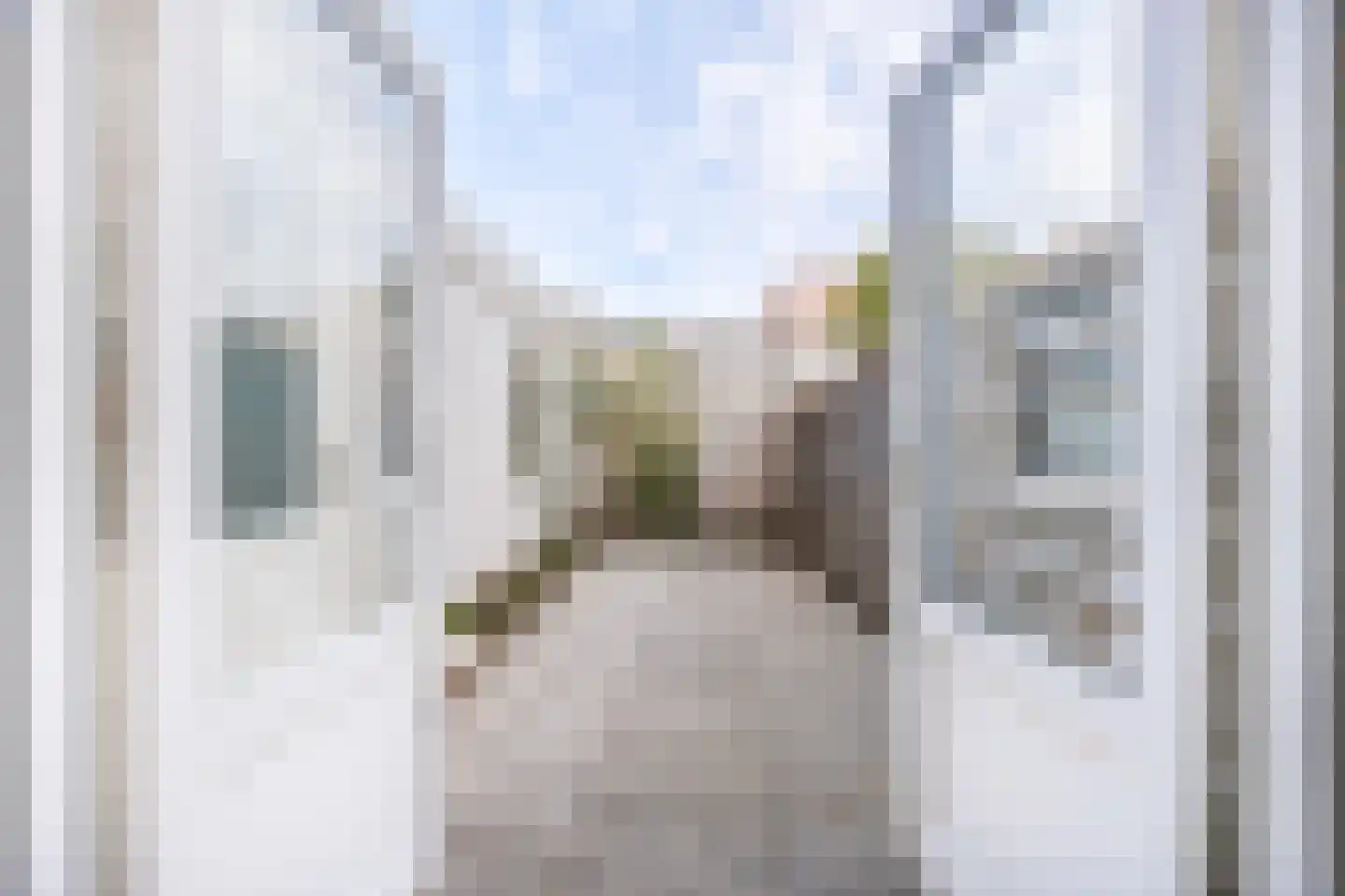 Loosduinseweg 775 Den Haag thumbnail 9