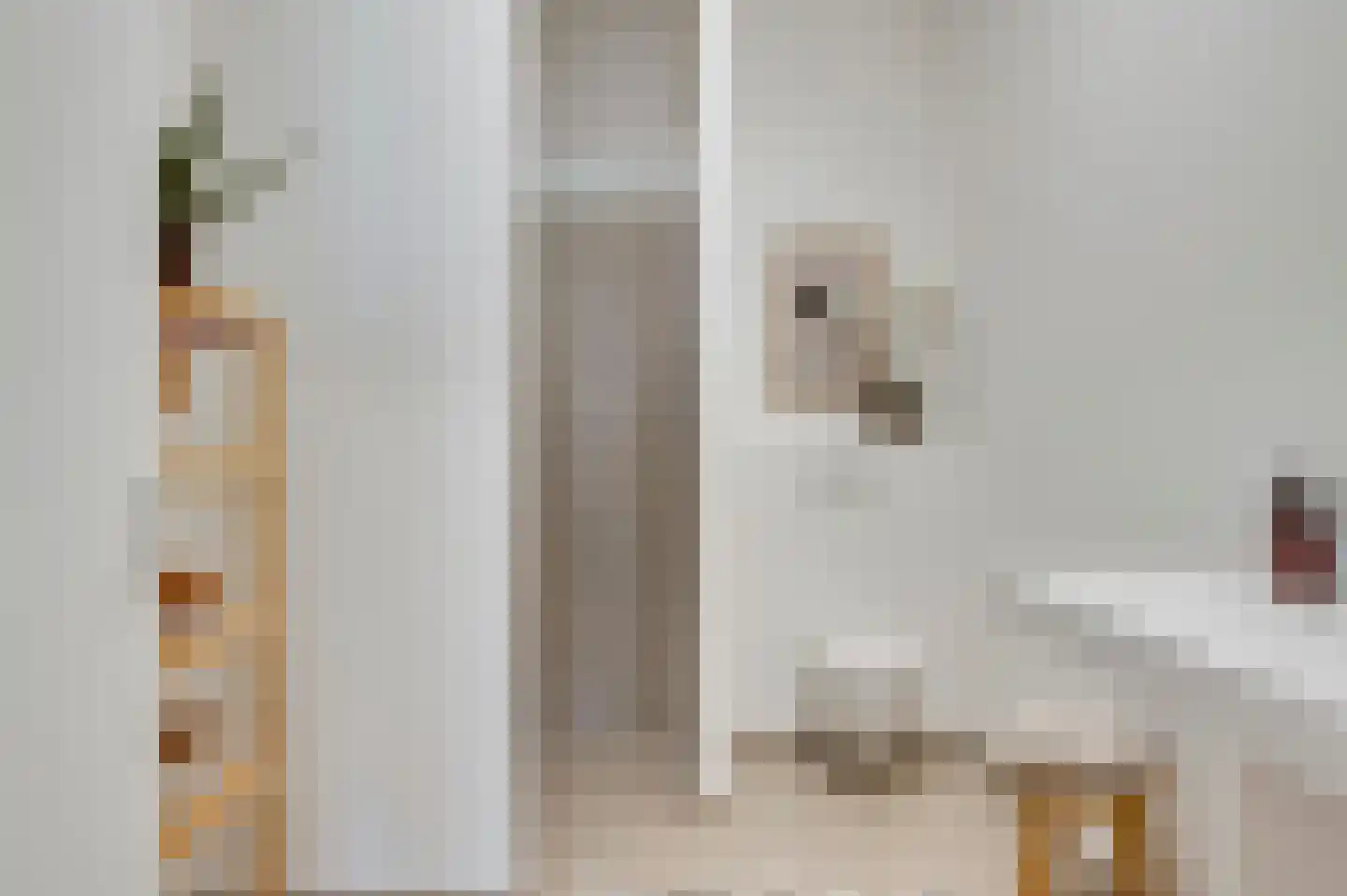 Looskade 2 D Roermond thumbnail 11