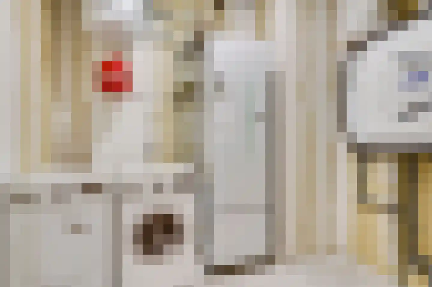 Looskade 2 D Roermond thumbnail 14