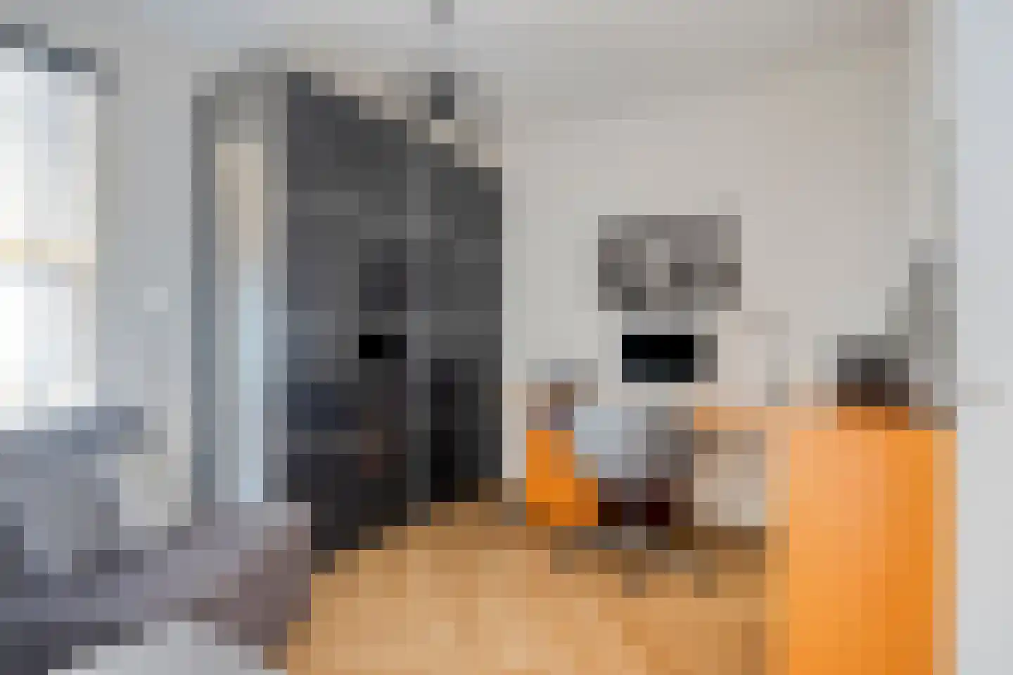 Looskade 4 B Roermond thumbnail 30