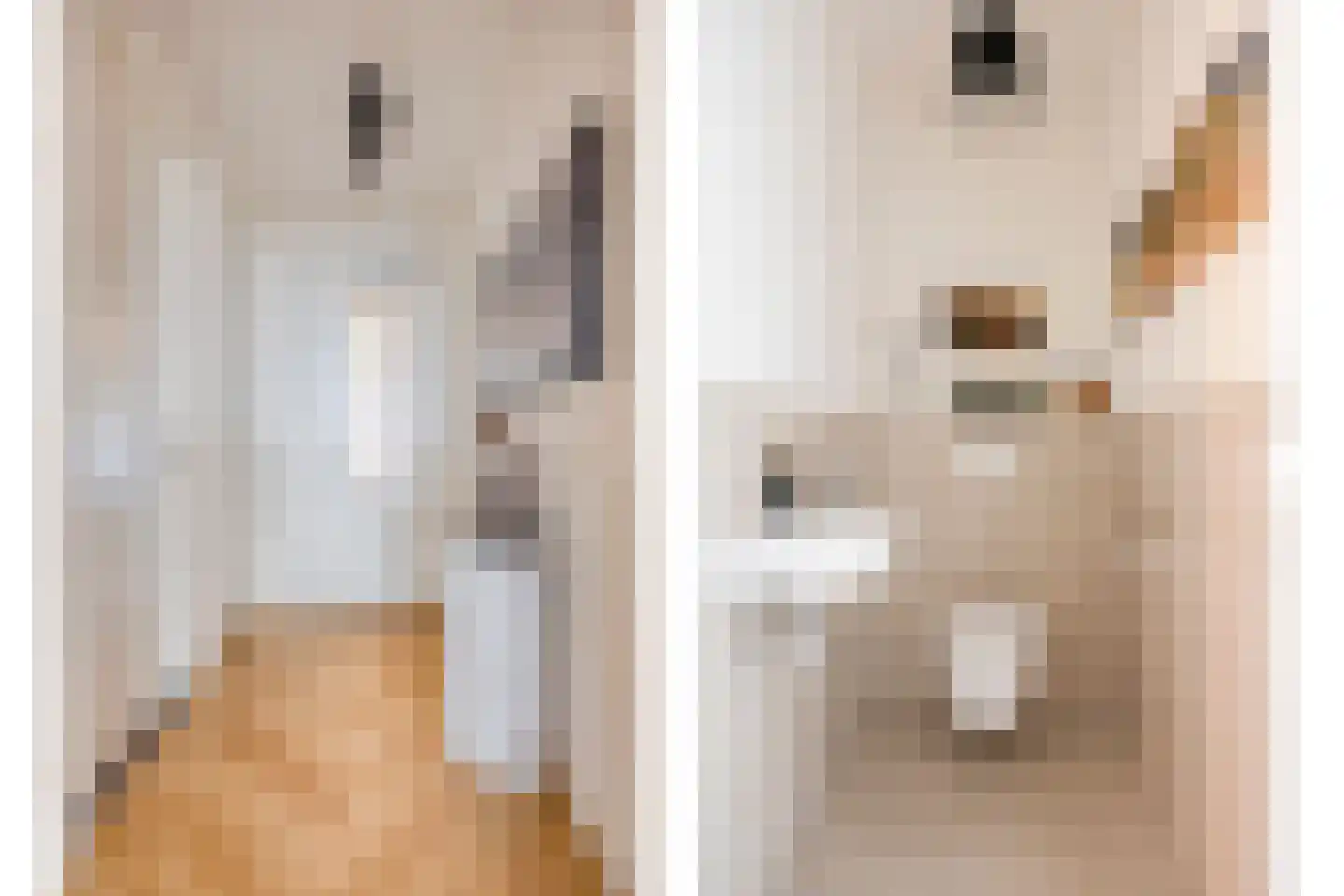 Looskade 4 B Roermond thumbnail 34
