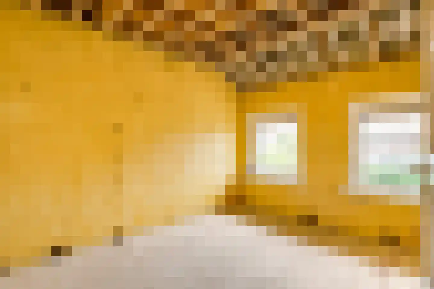 Loosteeg 10 Panningen thumbnail 22