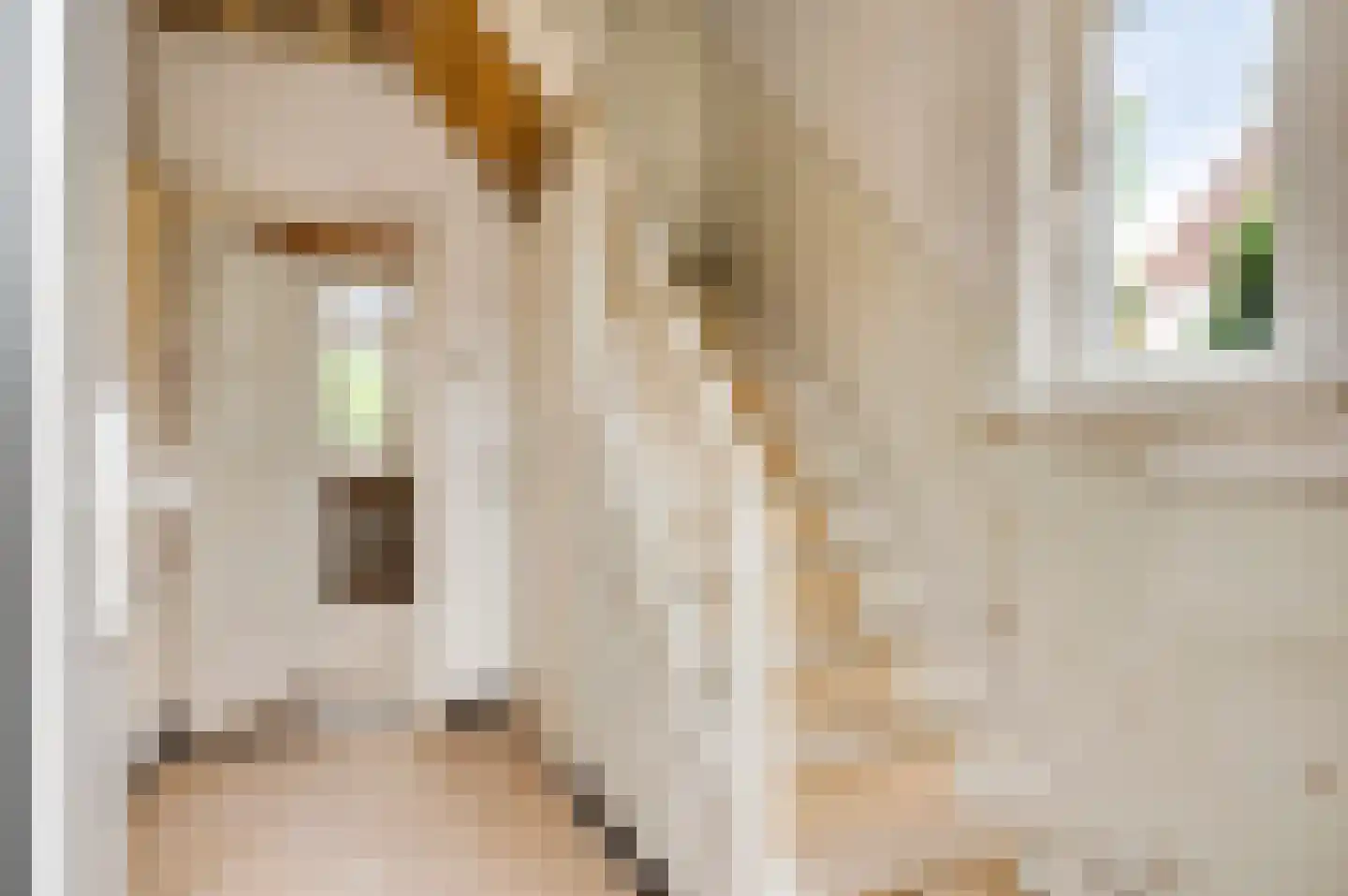 Loosteeg 10 Panningen thumbnail 6