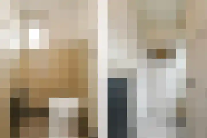 Loosteeg 4 Panningen thumbnail 13
