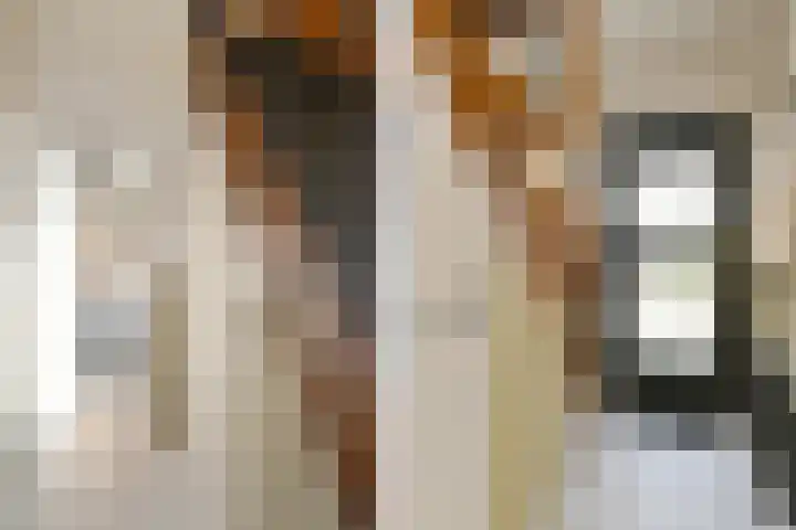 Loosteeg 4 Panningen thumbnail 15
