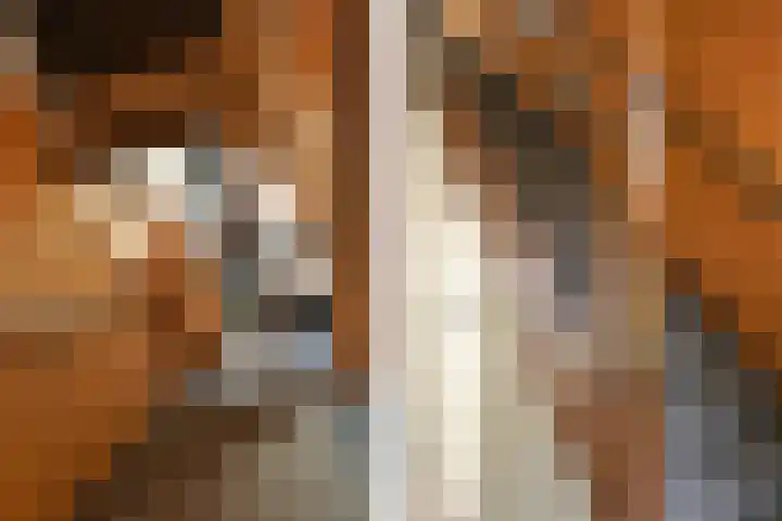 Loosteeg 4 Panningen thumbnail 16