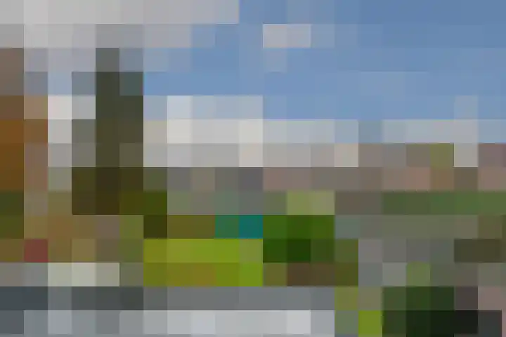 Loosteeg 4 Panningen thumbnail 22