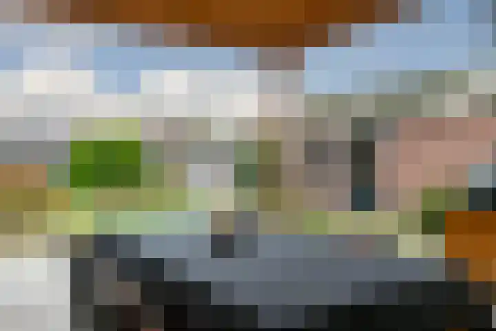 Loosteeg 4 Panningen thumbnail 24