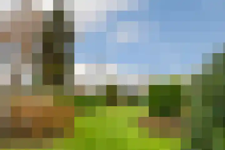 Loosteeg 4 Panningen thumbnail 26