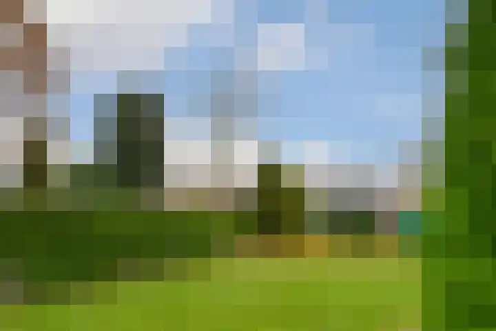 Loosteeg 4 Panningen thumbnail 27