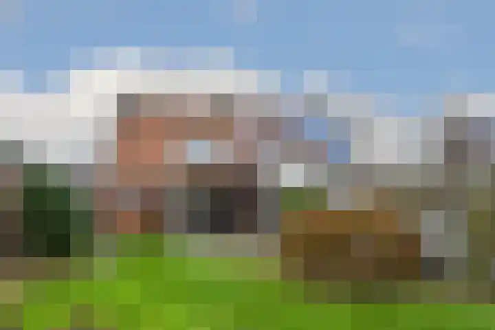 Loosteeg 4 Panningen thumbnail 29