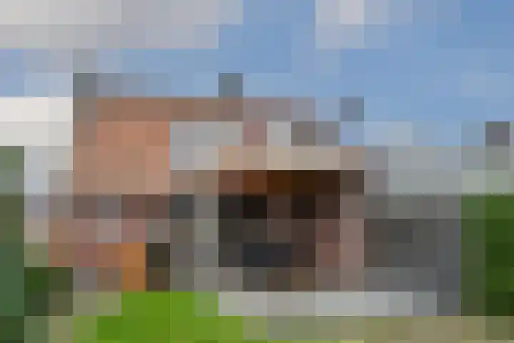 Loosteeg 4 Panningen thumbnail 30
