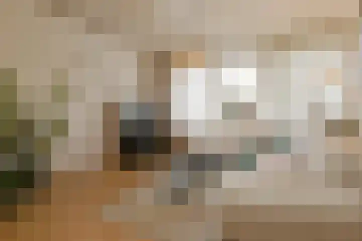 Loosteeg 4 Panningen thumbnail 4