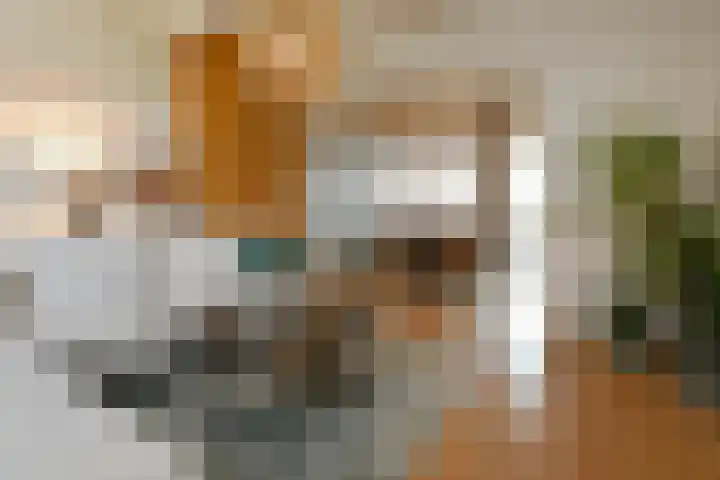 Loosteeg 4 Panningen thumbnail 5