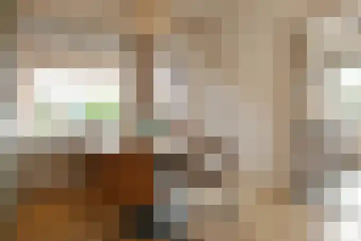 Loosteeg 4 Panningen thumbnail 8
