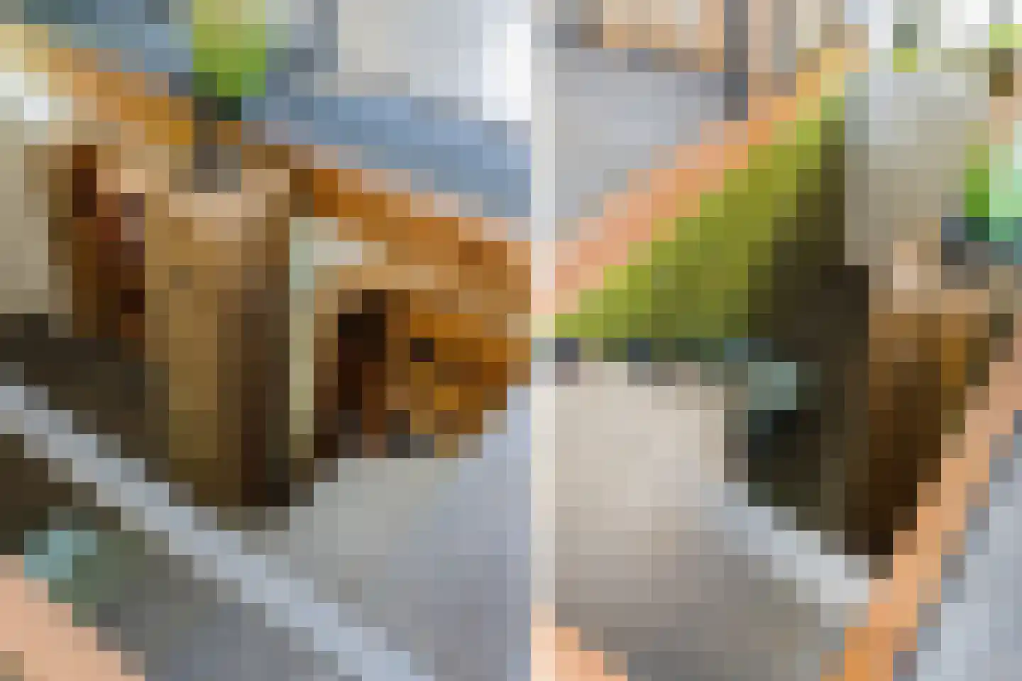 Loosterweg 14 Voorhout thumbnail 18