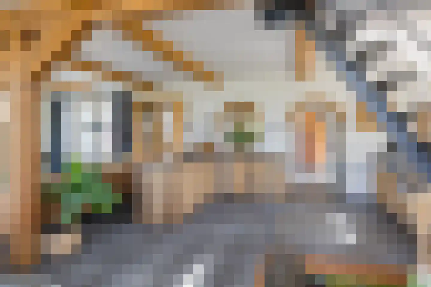Loosterweg 14 Voorhout thumbnail 20