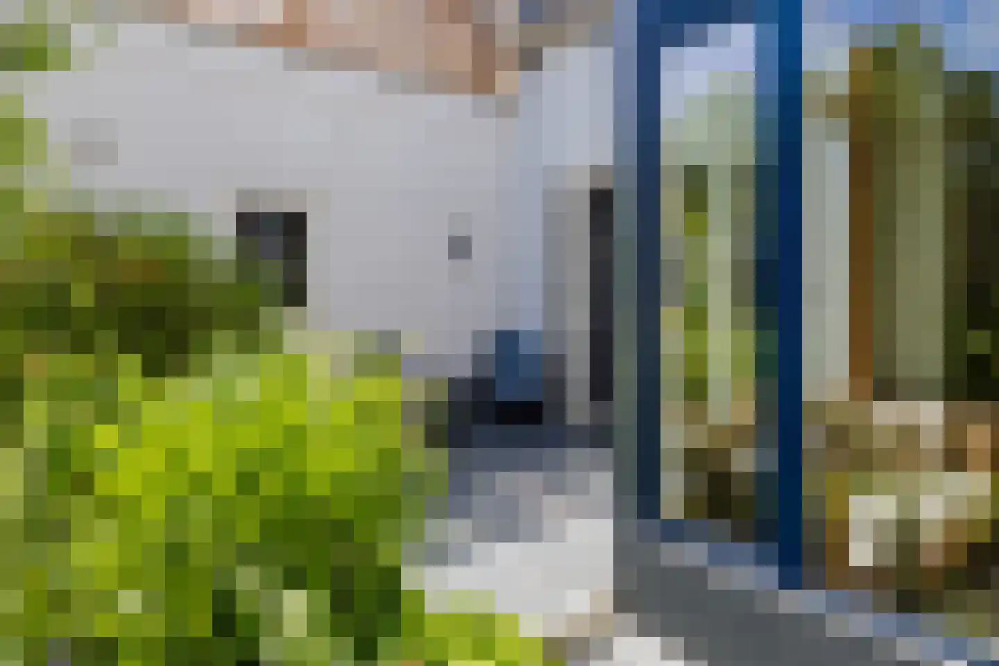 Loosterweg 14 Voorhout thumbnail 32