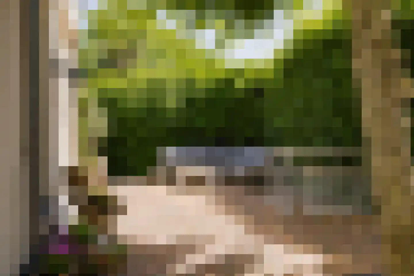 Loosterweg 14 Voorhout thumbnail 4
