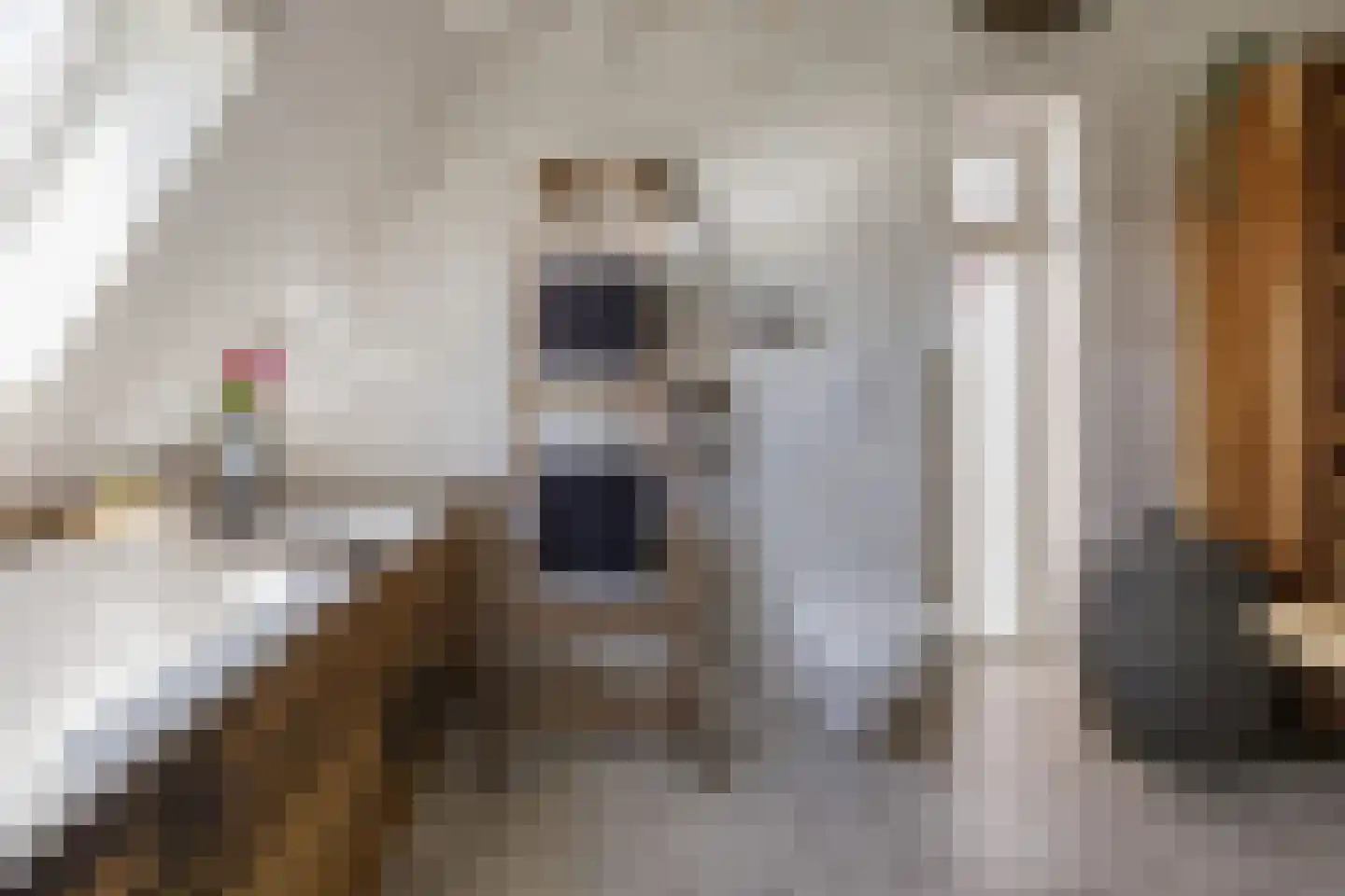 Loosterweg 14 Voorhout thumbnail 47