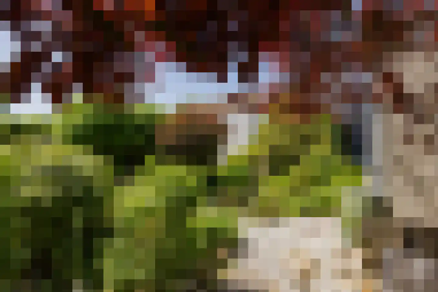 Loosterweg 14 Voorhout thumbnail 93